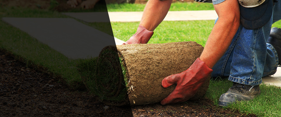 Henryetta Landscapers